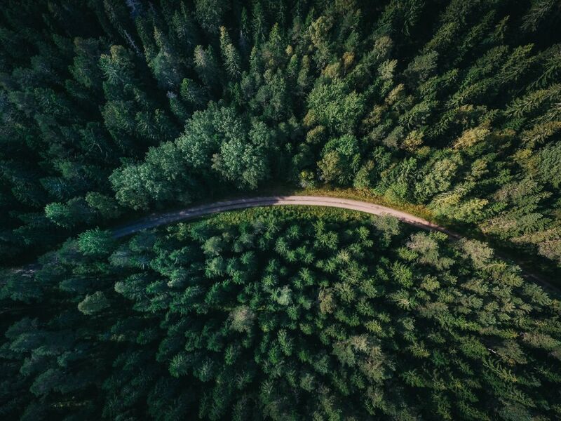 Baltıklar'da 3 Ülke Tallinn & Riga & Vilnius Turu THY İle Kurban Bayramı Özel 7 Gece 8 Gün