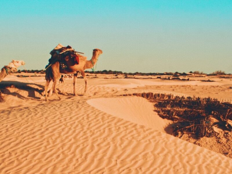 Tunus Turu Türk Havayolları İle Ramazan Bayramı Özel