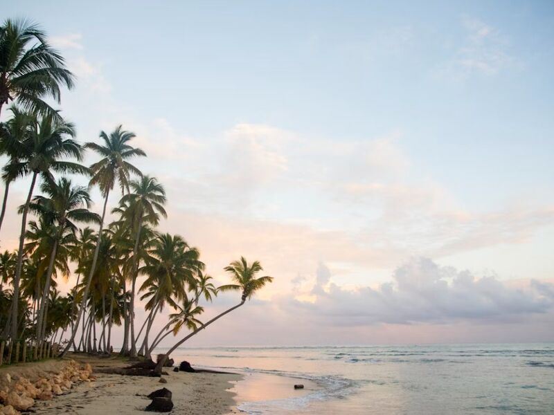 Dominik Cumhuriyeti Ada 2026 AF (LRM-LRM)