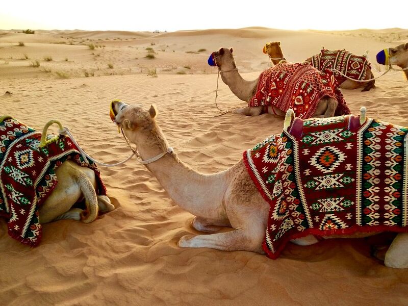 Bir Dubai Masalı Turu Dubai Şehir Turu Ve Abra Geçişi Dahil 4 Gece / 6 Gün Ajet Havayolları ile