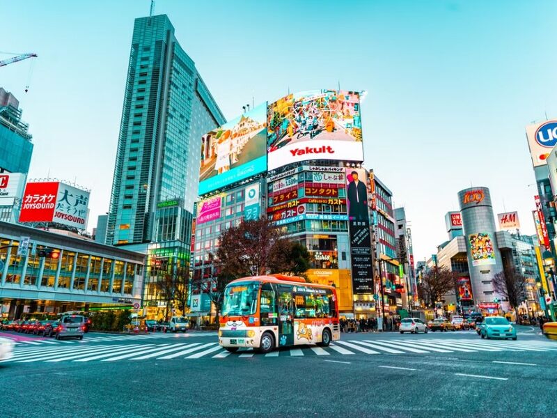 Comfort Japonya Turu Türk Hava Yolları ile 6 gece Ekstra Turlar Dahil ve Çay Seremonisi Dahil NRT-KIX 2026