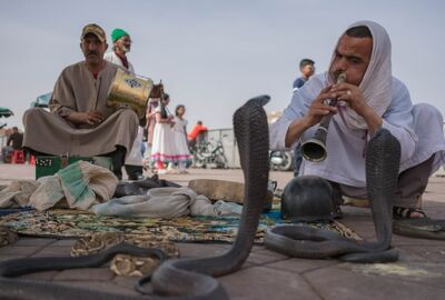 Elegant Fas & Çöl Safari Türk Hava Yolları İle 4 Gece Ekstra Turlar Dahil 