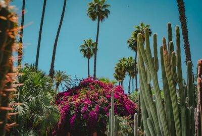 Elegant Fas & Çöl Safari Air Arabia Hava Yolları İle 4 Gece Ekstra Turlar Dahil 