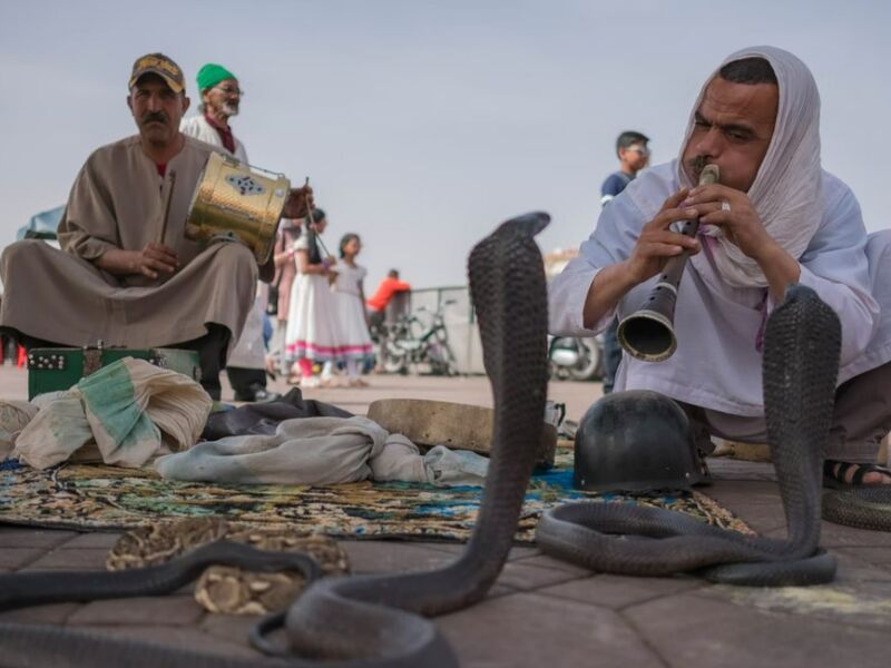 Elegant Fas & Çöl Safari Air Arabia Hava Yolları İle 4 Gece Ekstra Turlar Dahil 