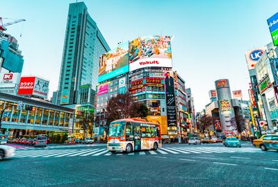 Comfort Japonya & Kore Turu Türk Hava Yolları ile 9 Gece Ekstra Turlar ve Çay Seremonisi Dahil ICN-KIX Kurban Bayramı Dönemi