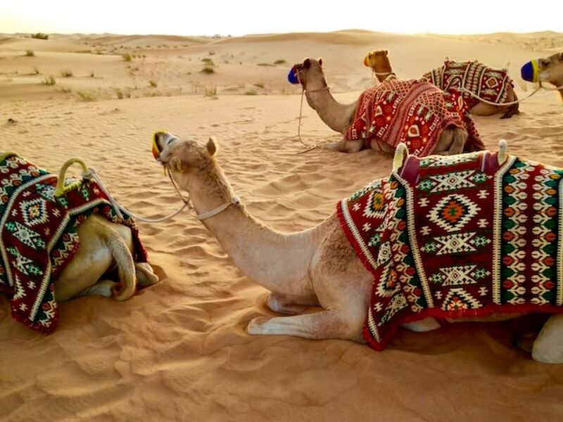 İzmir'den Dubai Turu SunExpress Havayolları ile 4 Gece