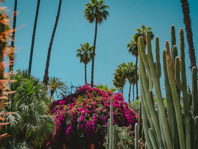 Comfort Fas & Sahra Çölü Turu Pegasus Hava Yolları ile 7 gece - Ekstra Turlar ve Akşam Yemekleri Dahil CMN - CMN