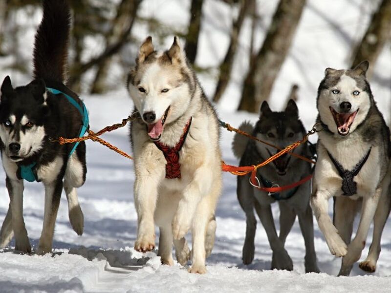 Kuzey`in İncisi & Aurora`nın Büyüsü St. Petersburg & Murmansk – 5 Gece / 6 Gün Türk Hava Yolları ile