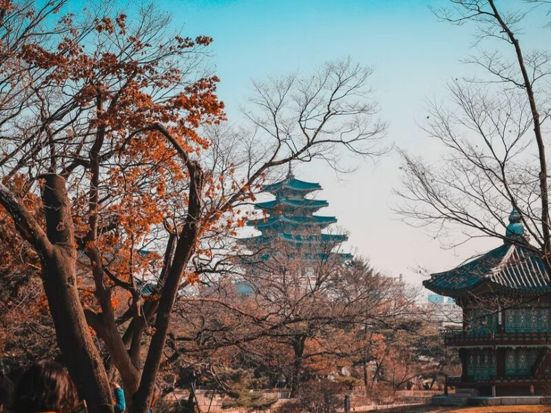 Seul`den Tokyo`ya Büyülü Yolculuk Kore & Japonya Turu Emirates Hava Yolları ile 