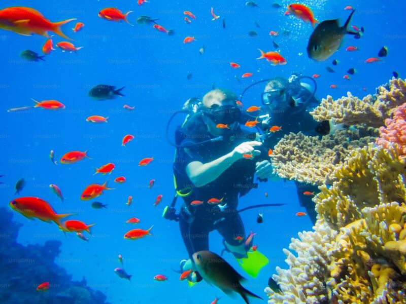 İzmir Hareketli Baştan Başa Mısır – Kahire (Luksor) – Hurghada – Sharm – Hurghada/Sharm Arası Uçakla – Hurghada ve Sharm`da Her Şey Dahil Konaklama – Kolay Vize