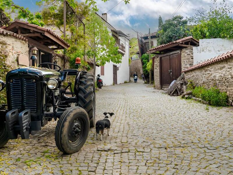 İzmir`den Bozdağ Köyü Gölcük Birgi Turu