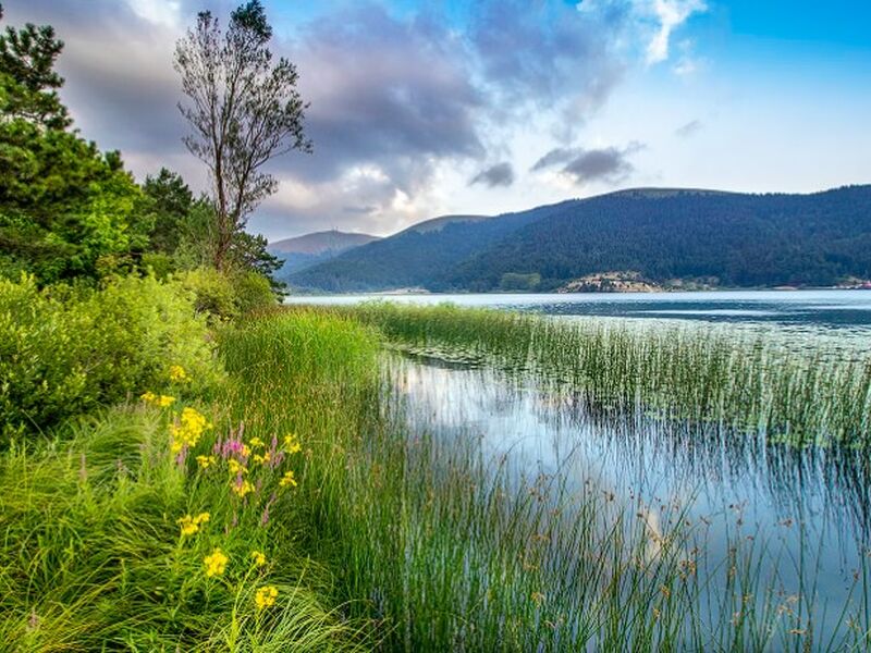 İzmir Çıkışlı Batı Karadeniz & Yedigöller & Ormanya Turları
