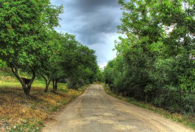 İzmir Hareketli Vizesiz & Aktarmasız Özbekistan & Kazakistan Turu