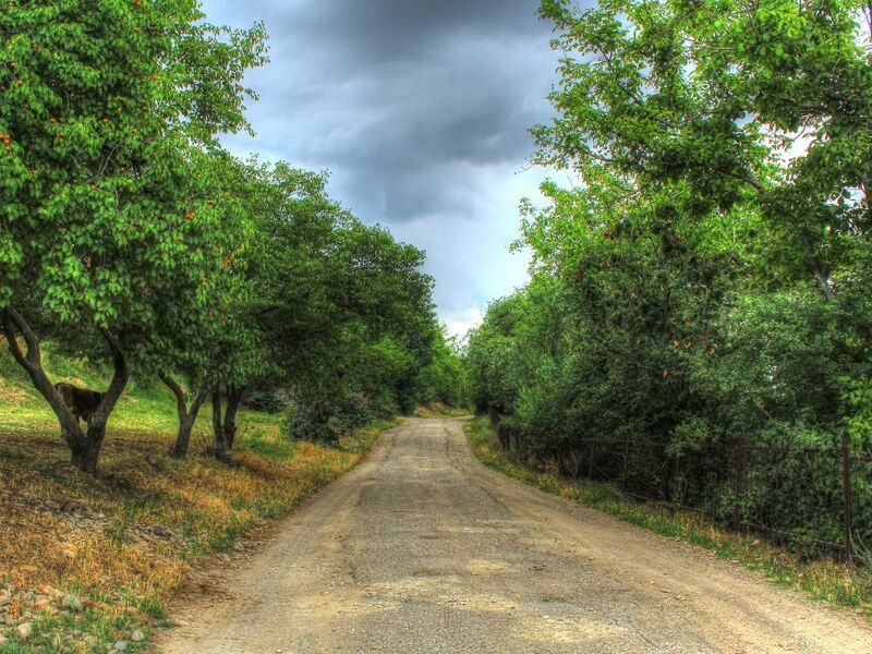 İpekyolu Turu – Kırgız Kazak Özbek - 11 Gün 2026