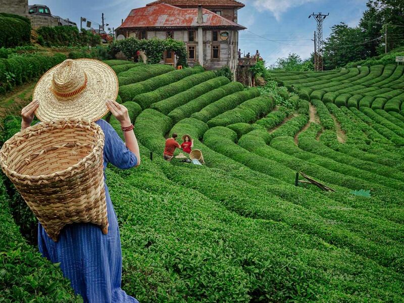 Ramazan Bayramı Özel | İstanbul Çıkışlı Otobüslü Karadeniz Yaylalar ve Batum Turu (4 Gece Konaklama) (Batum ve Yayla Konaklama)