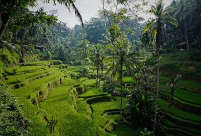 Bali 2026 TK (DPS-DPS)