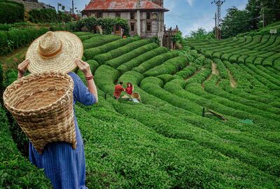 İzmir Çıkışlı Uçaklı Rüya Gibi Karadeniz Turu 4 Gece Konaklamalı (Samsun Başlar - Samsun Biter)