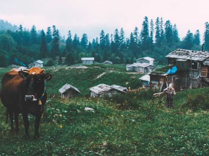 İzmir`den Boydan Boya Özel Karadeniz Rüyası ve Batum Turu 7 Gece 8 Gün