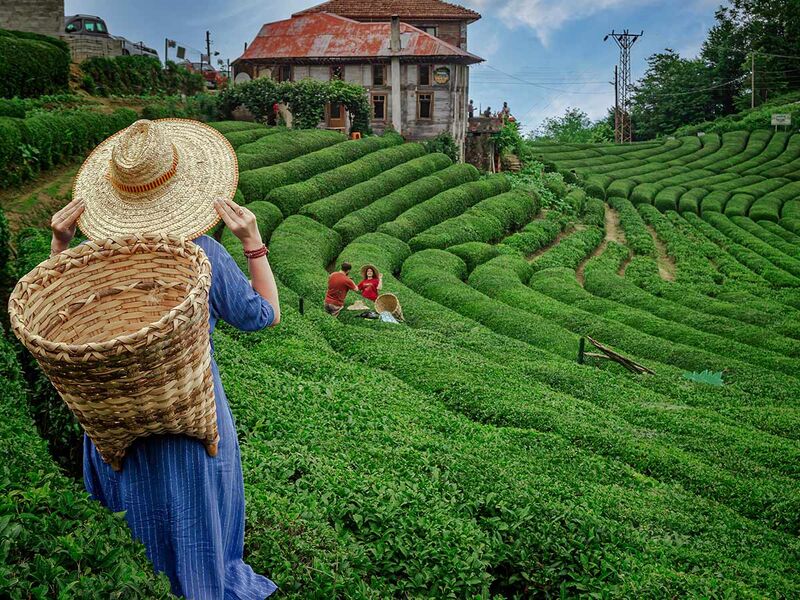 İzmir`den Boydan Boya Özel Karadeniz Rüyası ve Batum Turu 7 Gece 8 Gün
