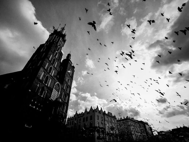 Polonya - Orta Avrupa`nın Gizli Hazinesi - 3 Gece