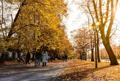 Polonya - Orta Avrupa`nın Gizli Hazinesi - 3 Gece