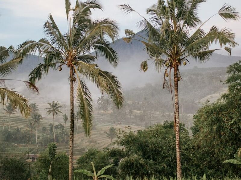 Bali & Ubud Geziler Dahil Singapur Hava Yolları ile 7 Gece 8 Gün