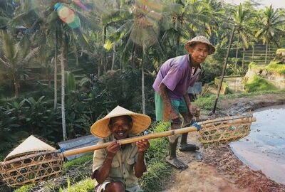 Bali & Ubud Geziler Dahil Singapur Hava Yolları ile 7 Gece 8 Gün