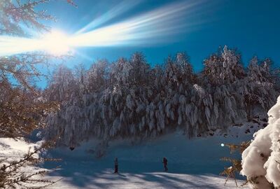 Uludağ Kayak Turu / 1 Gece Otel Konaklamalı / İstanbul Çıkışlı