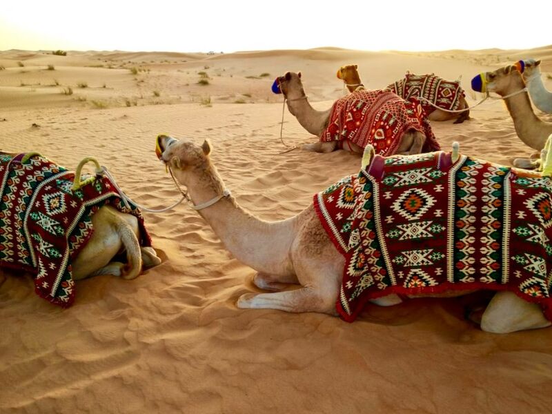 Dubai Turu Türk Hava Yolları ile 3 Gece