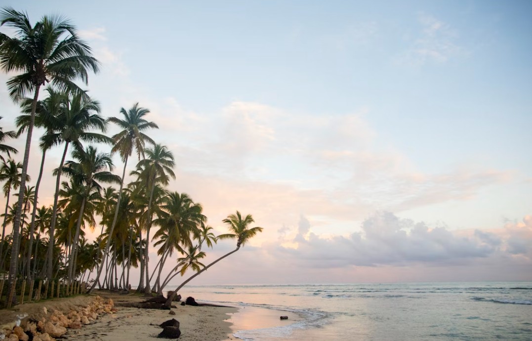 Dominik Cumhuriyeti Ada 2026 AF (LRM-LRM)