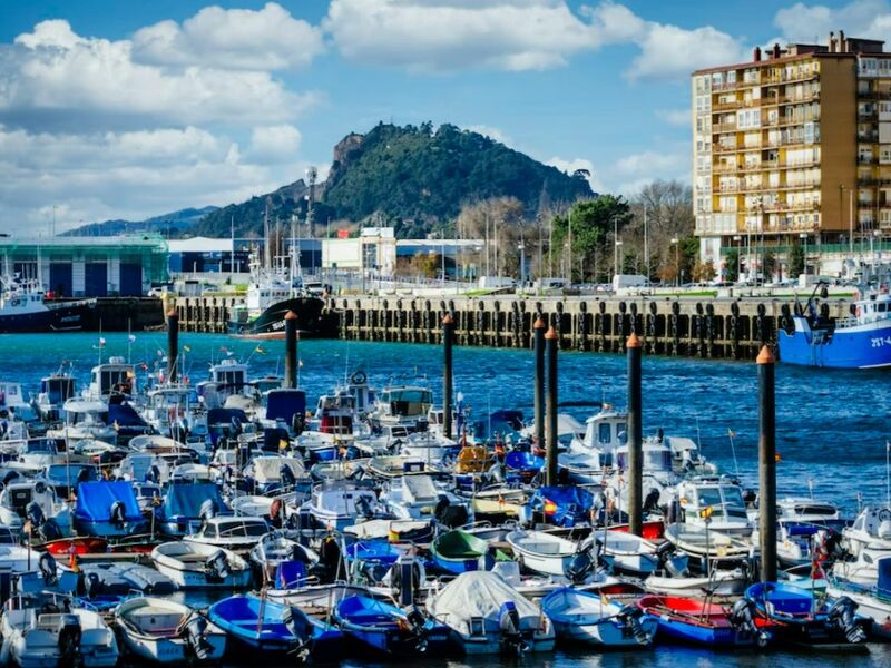 Basklar ve Güney Fransa 2026 PC (MRS-BIO)