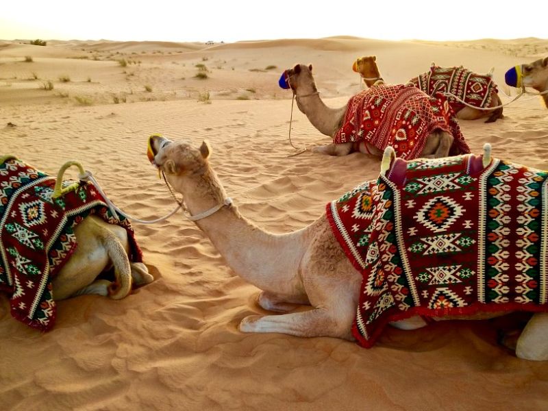 Dubai Turu Türk Hava Yolları ile 4 Gece