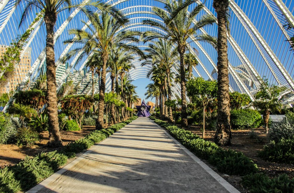 Büyük İspanya Kış 2026 (MAD-BCN)