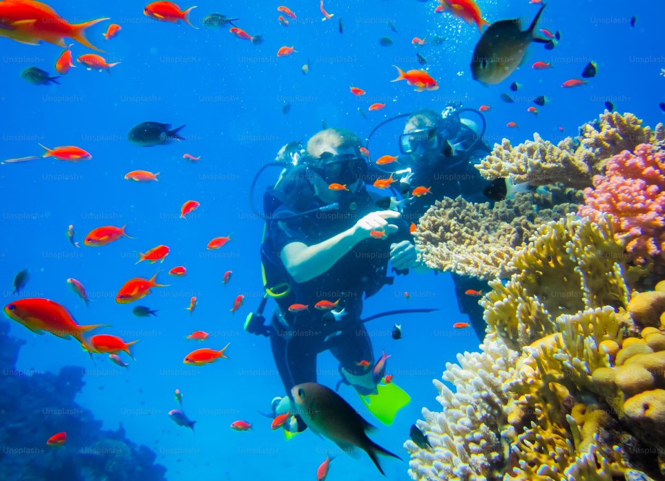 Promosyon Sharm El Sheikh Turu Ajet ile 3 Gece Transfer Saatine Kadar Otel Kullanımlı