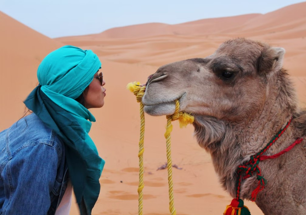 Mega Fas & Sahra Çölü Turu (Vizesiz) Pegasus Havayolları ile 7 Gece