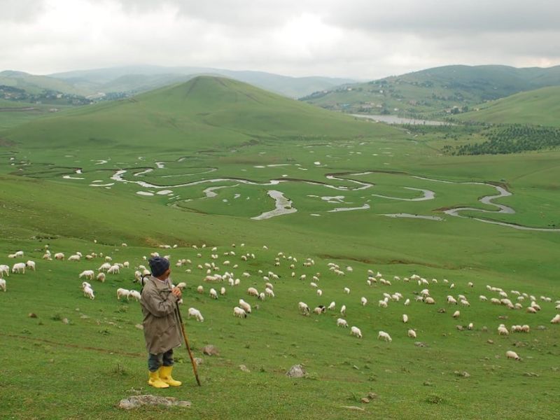 Uçaklı Karadeniz Ve Batum Turu 4 Gece