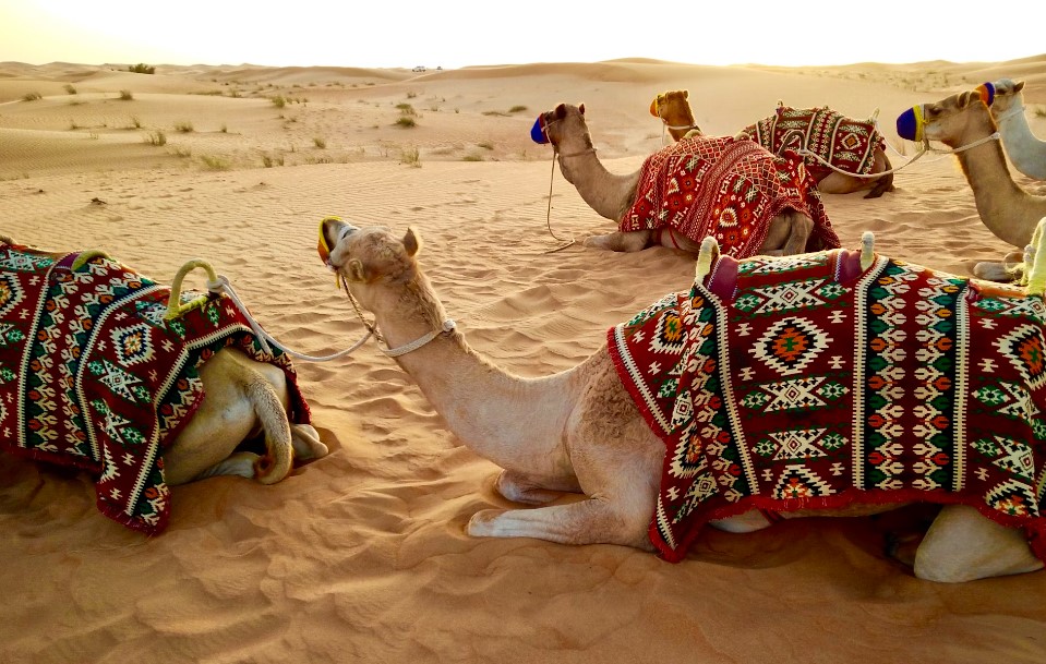 Dubai Serüveni FlyDubai Hava Yolları ile 3 Gece