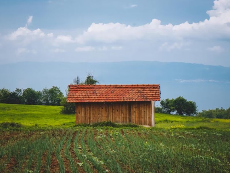 İstanbul Çıkışlı Otobüslü Marmara`nın Tarihi Başkentleri Turu (4 Gece Konaklama) (Kazdağları Jeep Safari ve Ayvalık Tekne Turu)