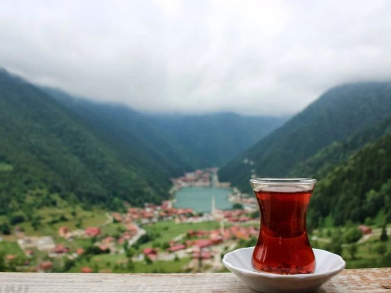 Kurban Bayramı Özel Uçaklı Uzun Karadeniz Ve Batum Turu 5 Gece