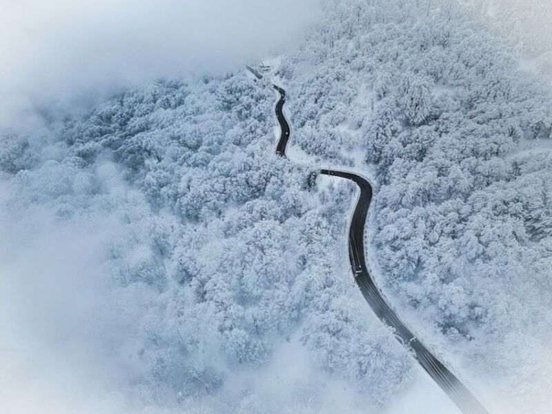 Kurban Bayramı Özel Aşk Rotası Abant Gölcük Maşukiye Ormanya İznik Gölyazı Turu