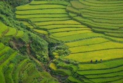 Kurban Bayramı Özel Elegant Vietnam & Laos & Kamboçya Türk Hava Yolları ile 9 Gece