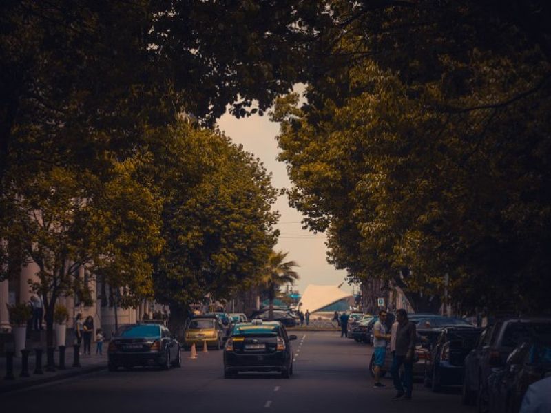 İkonik Karadeniz Yaylalar ve Batum Turu | 3 Gece Konaklamalı Uçaklı İstanbul Çıkışlı