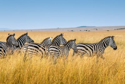 Vizesiz Muhteşem Güney Afrika Turu 2026