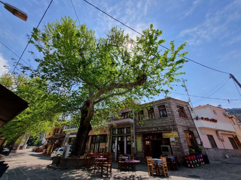 Dikili Çıkışlı Midilli Adası Turu Kapı Vizesi İmkanı Molivos Konaklama Farkı ile