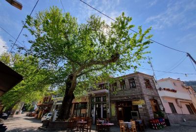 Aliağa Çıkışlı Midilli Adası Turu Kapı Vizesi İmkanı Molivos Konaklama Farkı ile