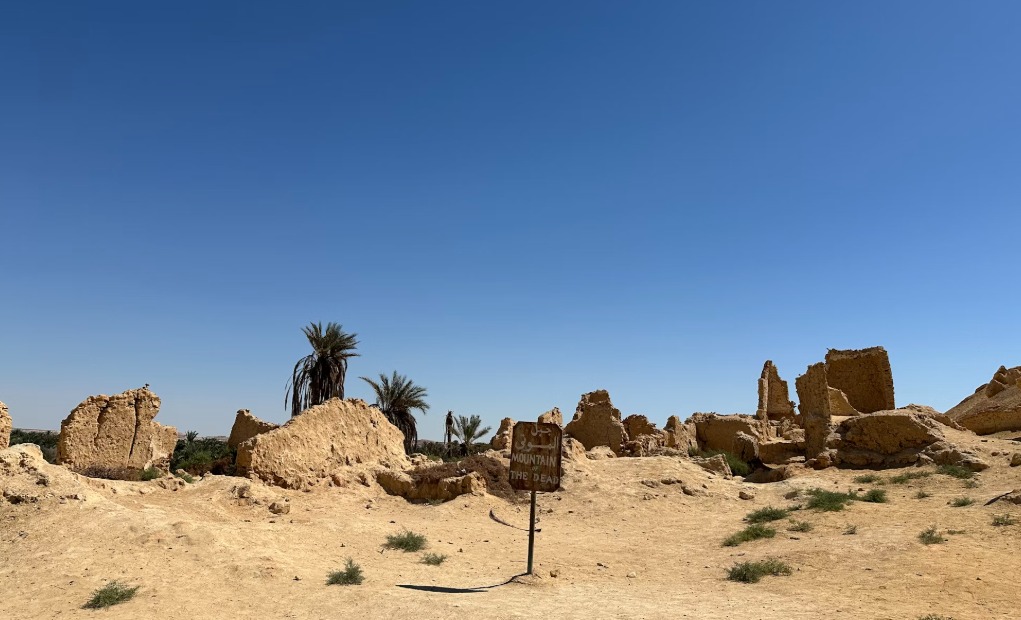 Ankara’Dan Sharm El Sheikh & Kahire Turu Air Cairo Havayolları Özel Seferi ile 4 Gece