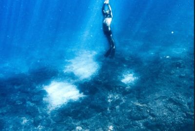 Bali & Singapur Turu Türk Hava Yolları İle 7 Gece