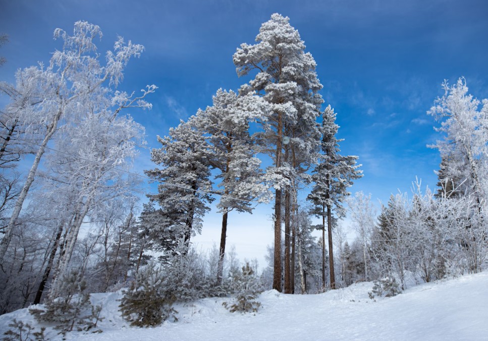 Sibirya & Yakutistan & Moğalistan Turu THY ile 14 Gün 2026