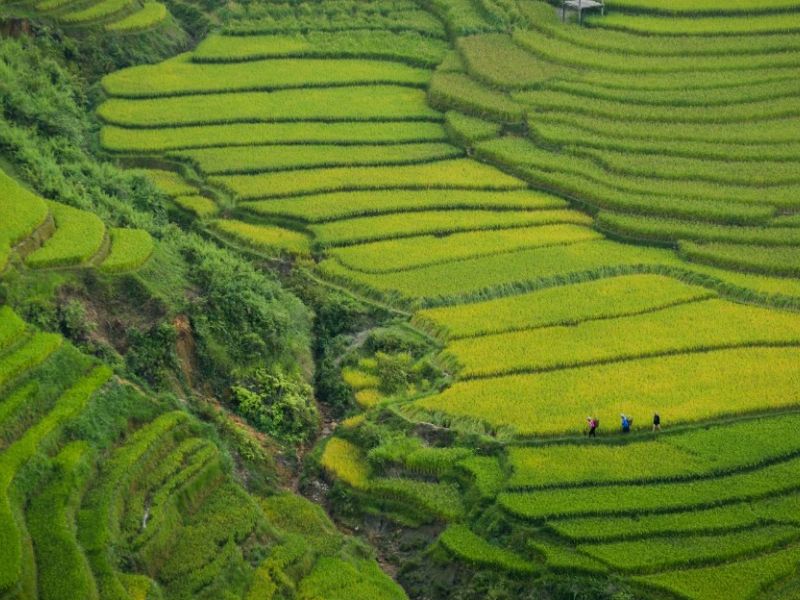 Vietnam Kambocya 9 Gün SQ 2027