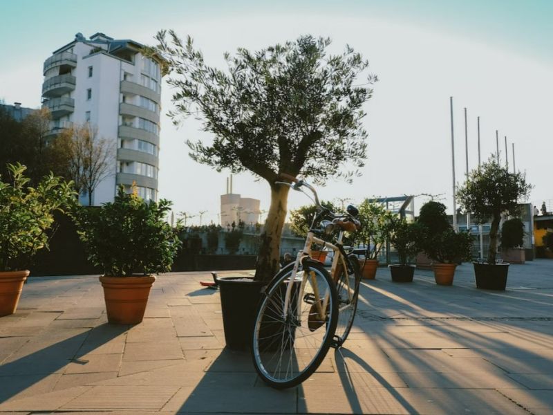 Antalya'dan Direkt Hareket Görkemli Üçlü Benelüx & Fransa & Almanya & İsviçre & 7 Gece - Sunexpres İle 26 Aralık Hareket (yılbaşı Özel)